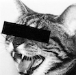 gitlab